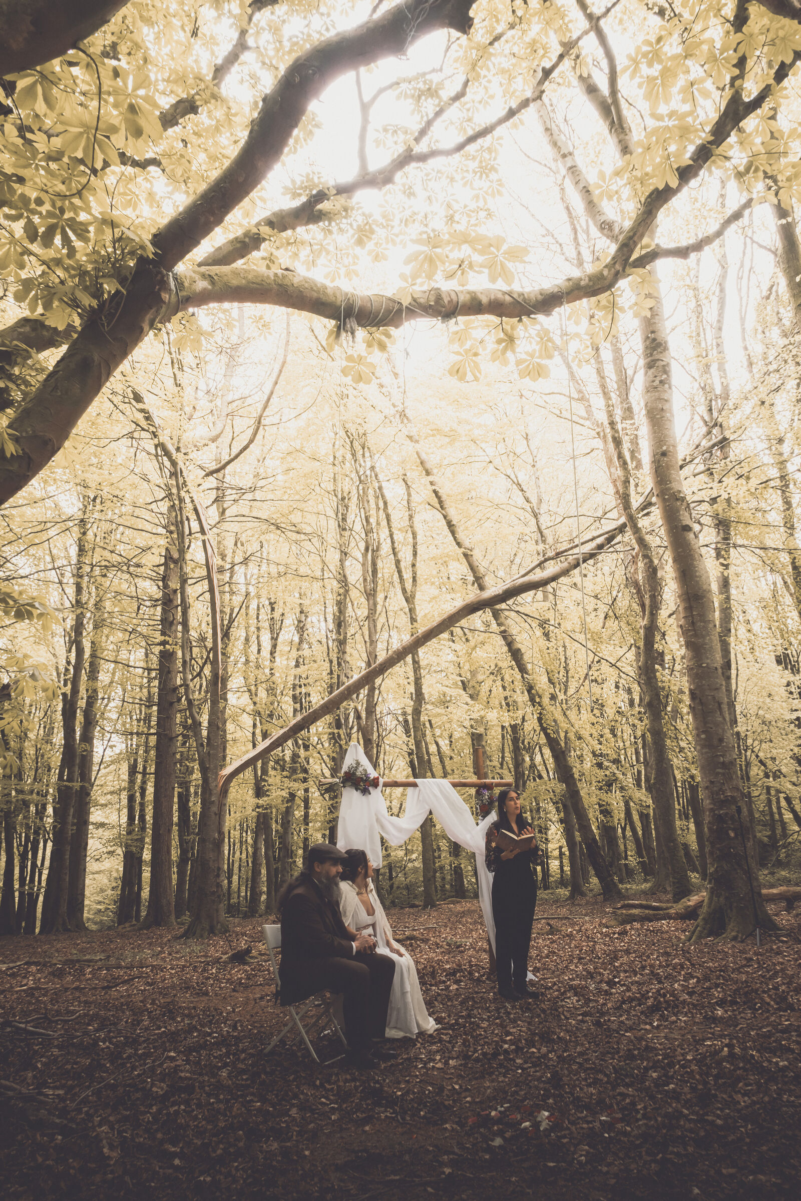 Unconventional forest wedding