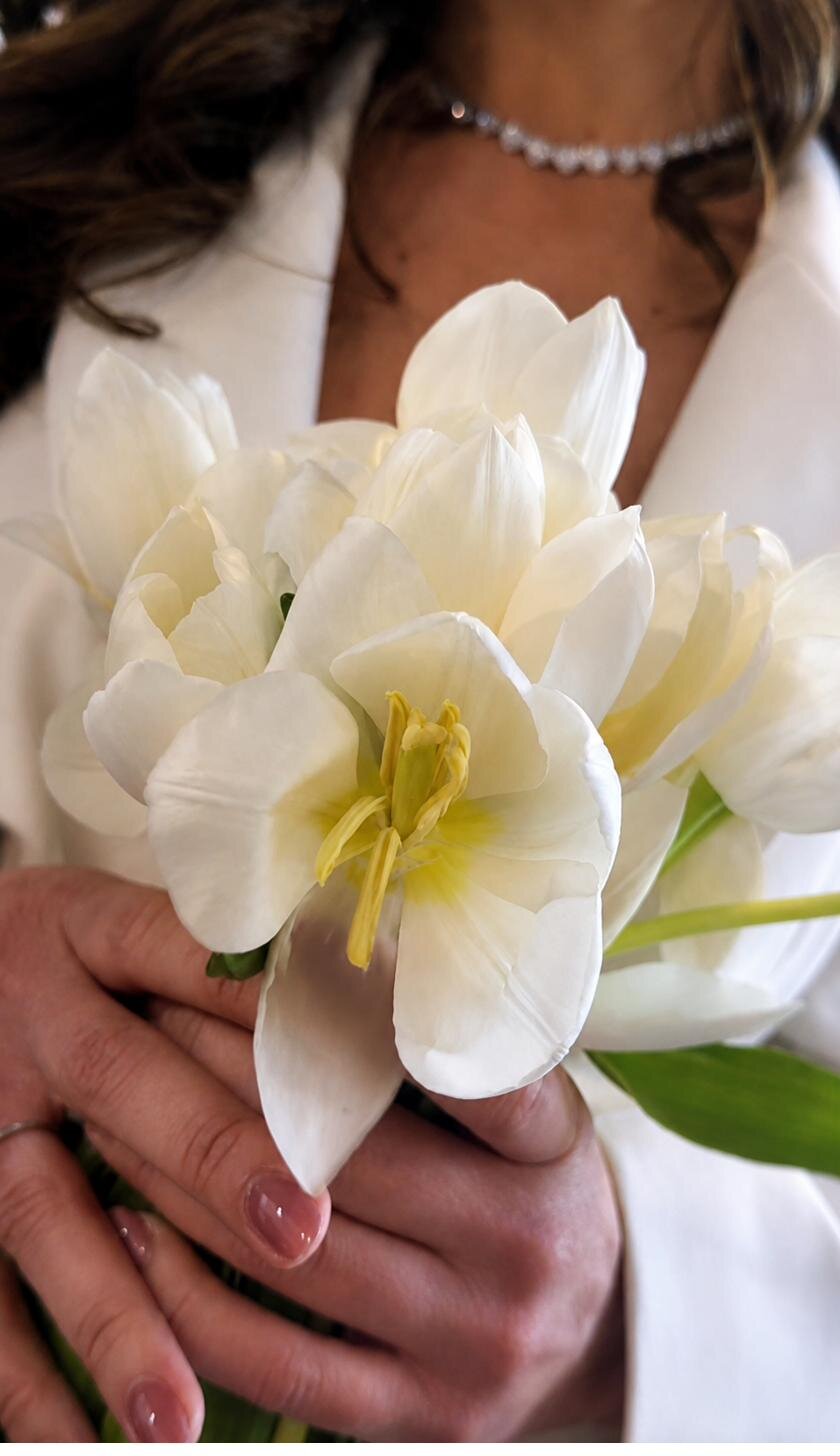 Bouquet of white tulips